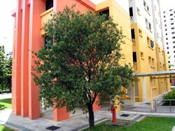 Blk 305B Anchorvale Place (Sengkang), HDB 5 Rooms #604245331